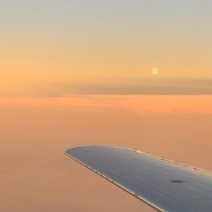 Meet your Posher, Marley